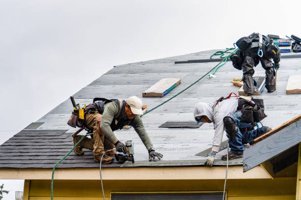 Professional Roofing technician working in Alplaus, NY